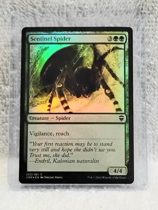 Magic: The Gathering Other - 5/$20 Mint 2020 MTG Sentinel Spider C Foil Card 253/361 Deckmaster!!